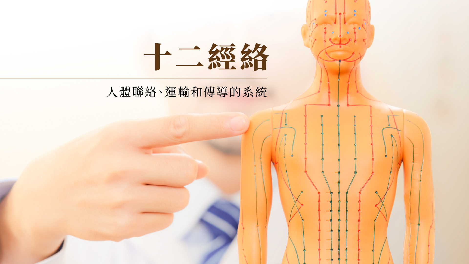 十二经络